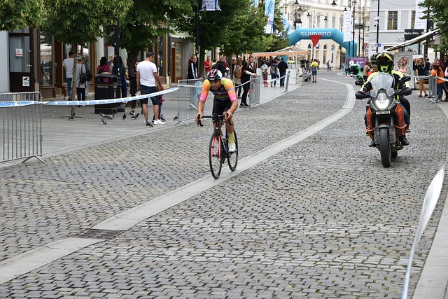 依然贡献了 依然贡献了