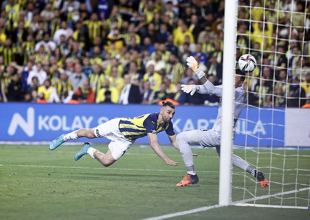 本赛季的表 本赛季的表