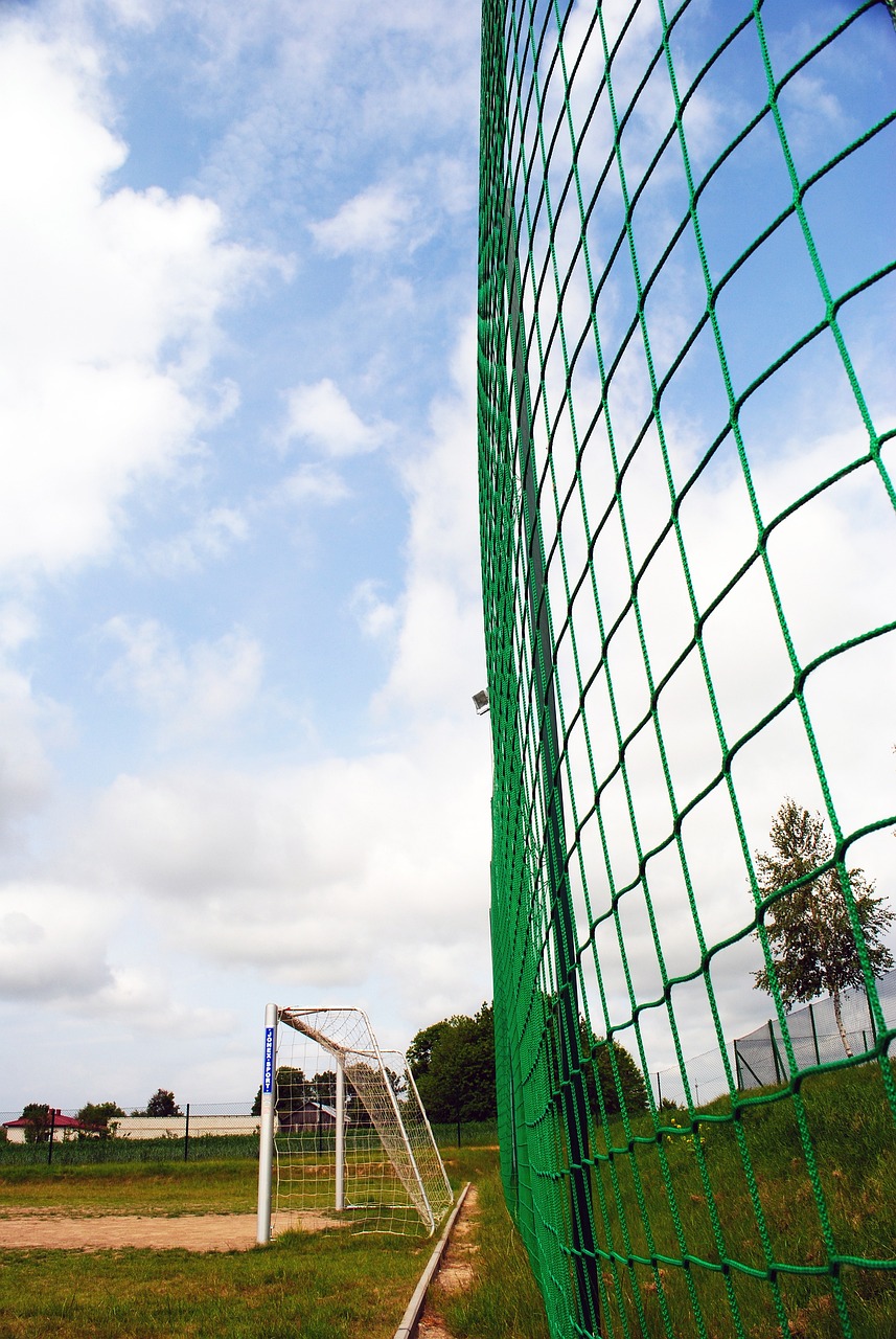 领观众进入 领观众进入