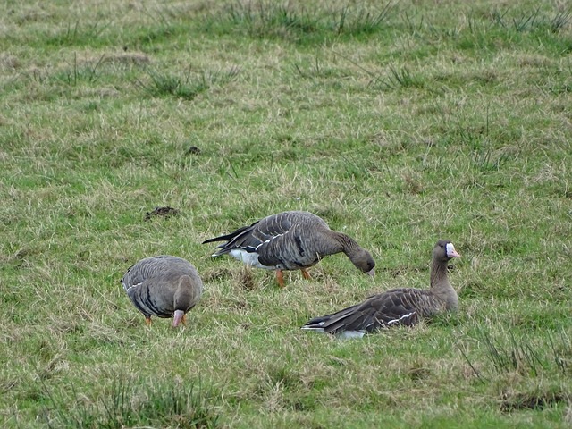 来说都是一 来说都是一